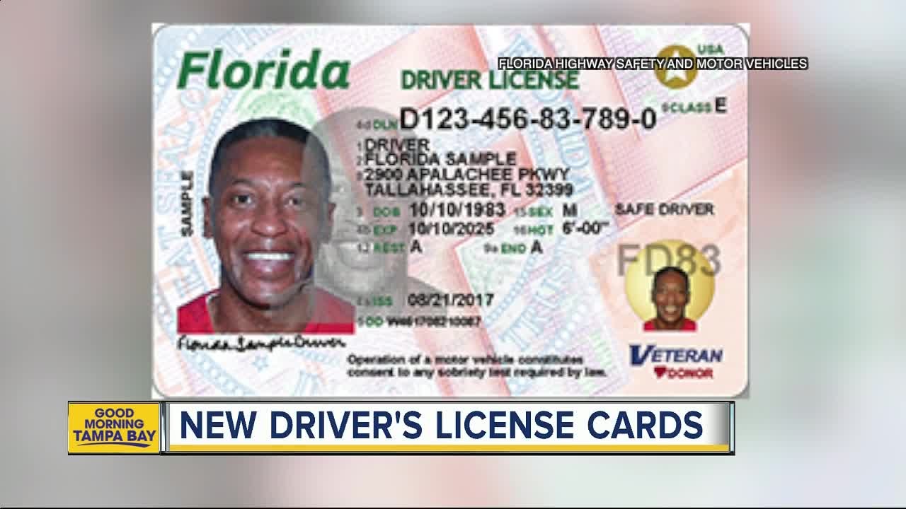 Florida dmv license check